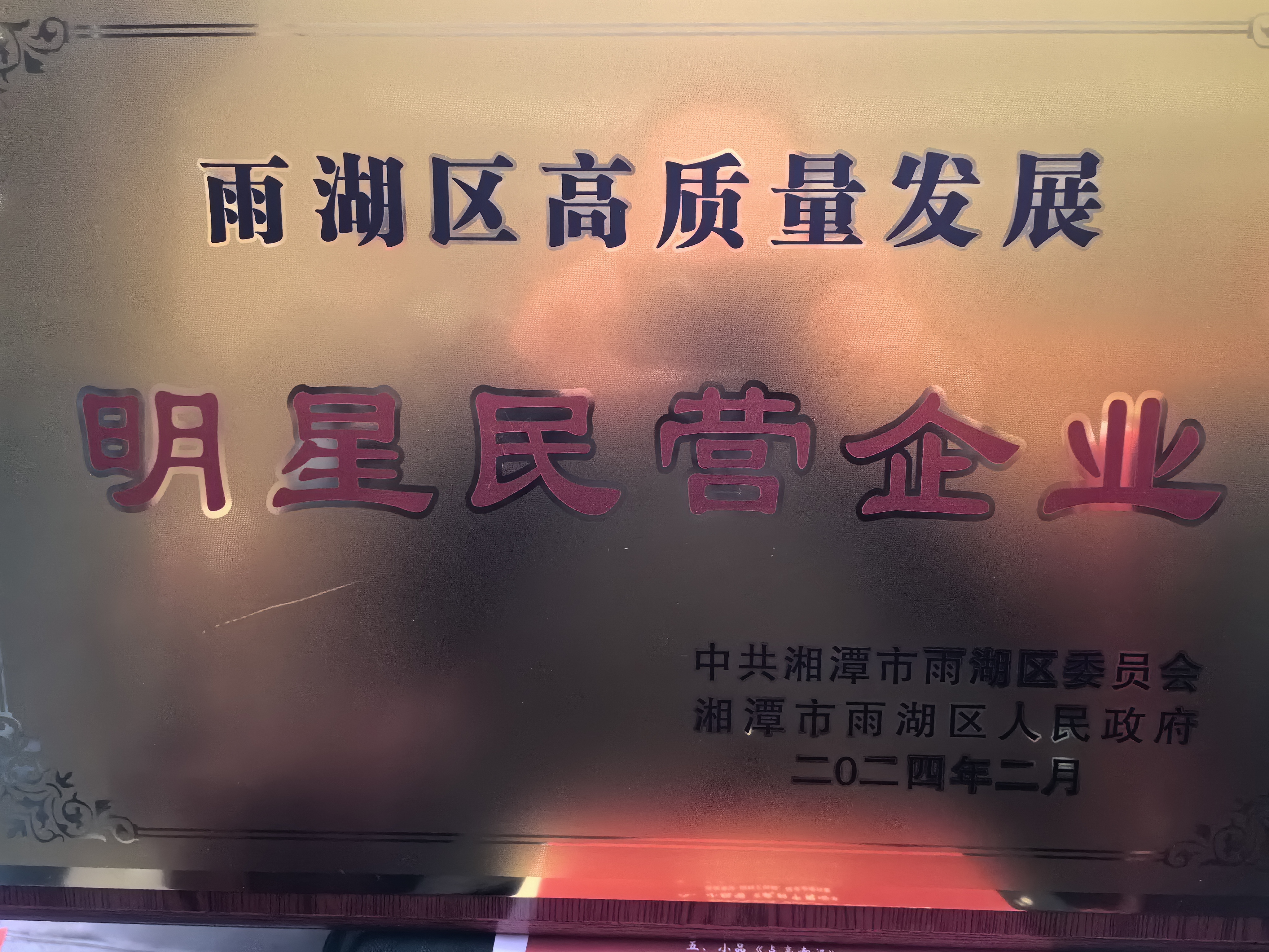 新利荣获“雨湖区高质量发展明星民营企业”称号